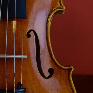 Violin