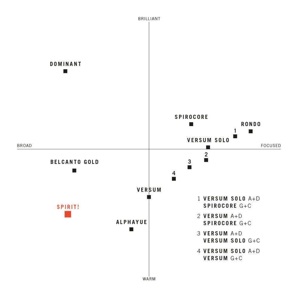 Spirit! Cello 4/4 - Imagen 2