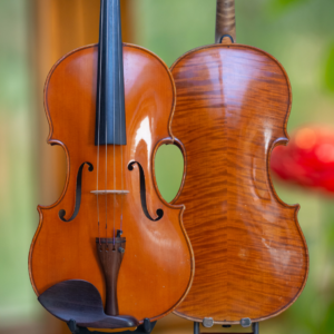 Viola 16 ½  František Zucker