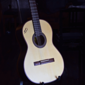 Guitarra