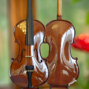 Violín 3/4  CREMONA SV150