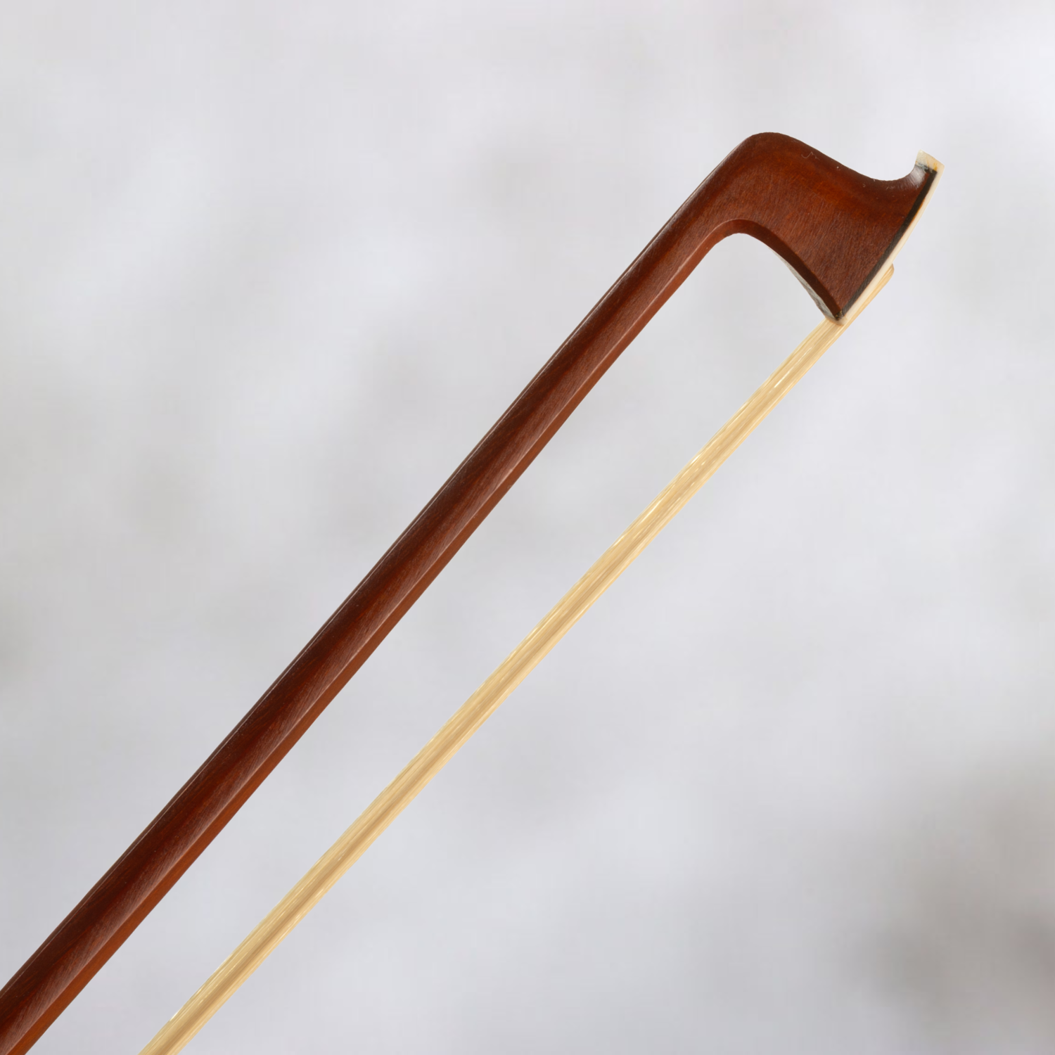 Arco para violín Madera Estudio 4/4 Whale Bone - Imagen 3